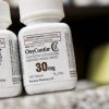 köpa oxycontin