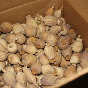 Köp opium